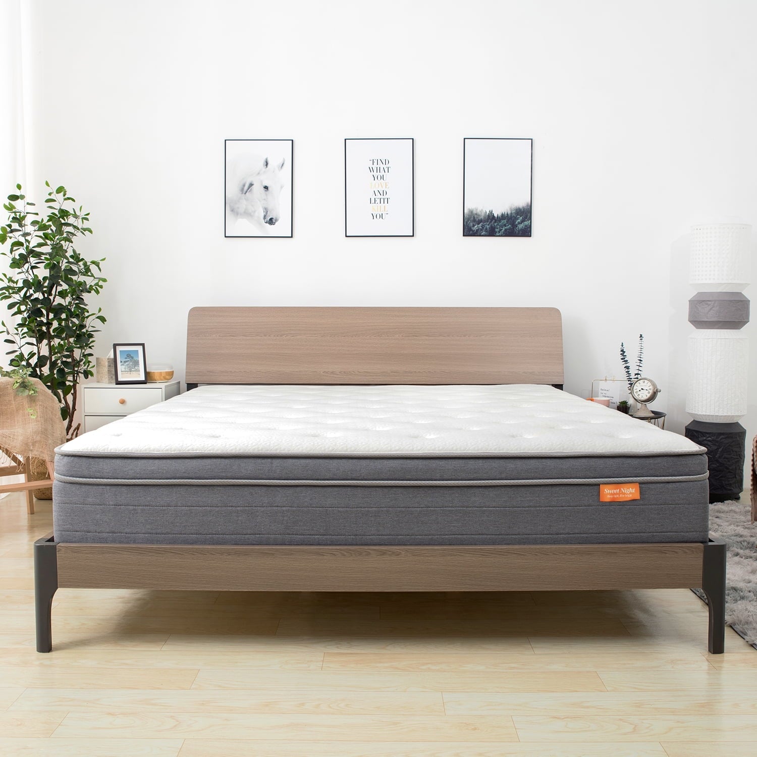 Island 10-Inch Pocket Spring Hybrid Mattress in a Box, Queen Mattress