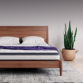 Sleep Essential 6" EuroTop Gel Memory Foam and Innerspring Hybrid Mattress, Queen