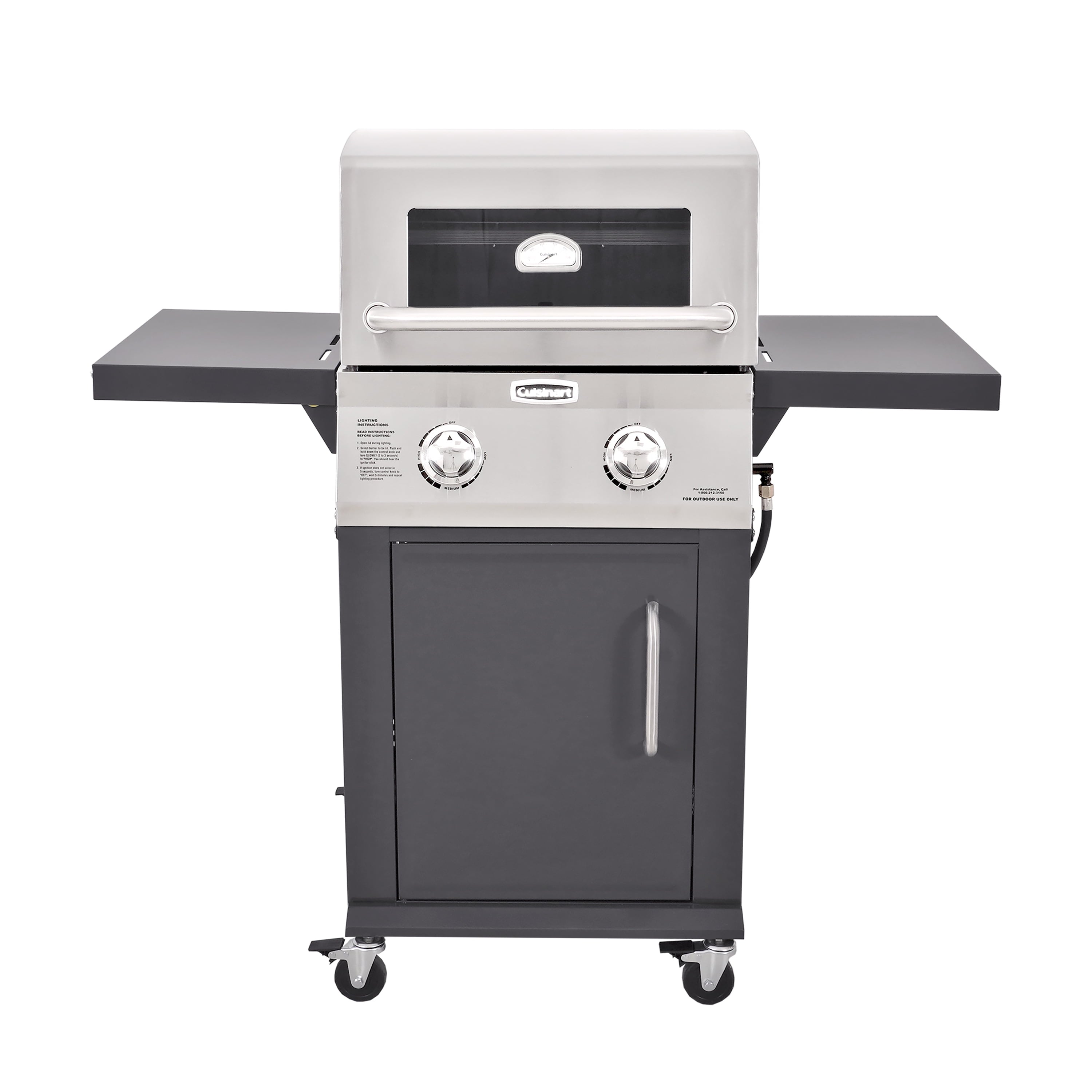 Two Burner Dual Fuel Gas Grill